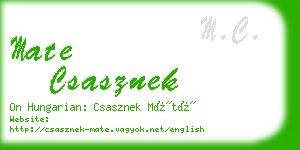 mate csasznek business card